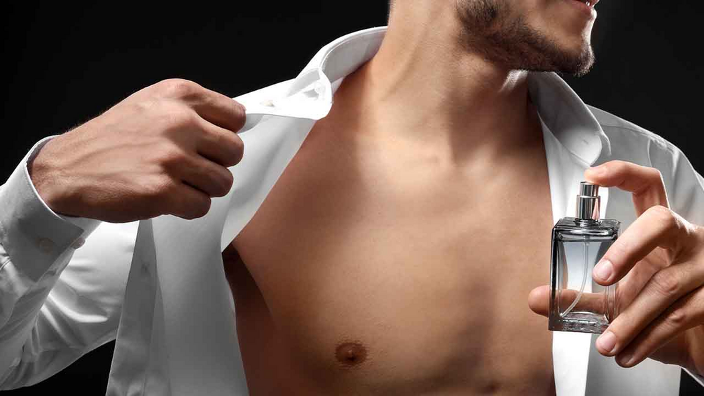 The Male Aroma: Our Picks for the Best Perfumes for Men