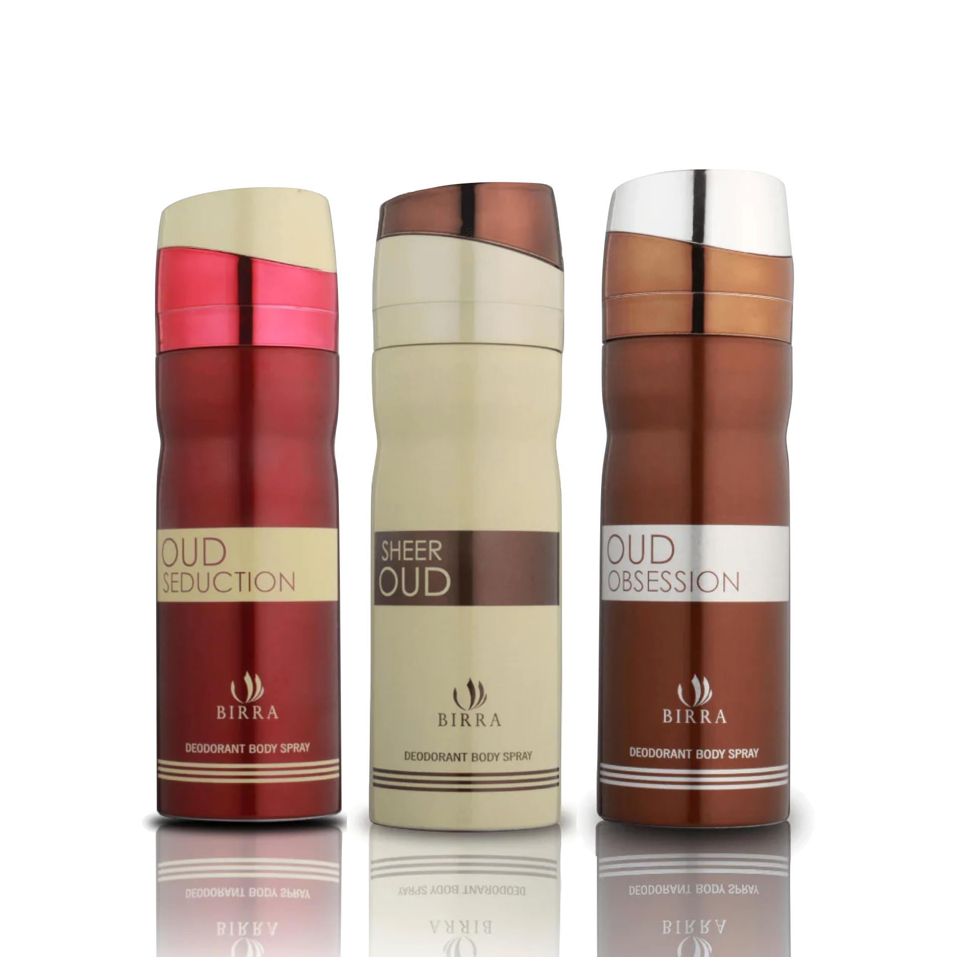 Oud Trio Combo