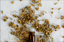 Key Natural Ingredients used in perfumes 