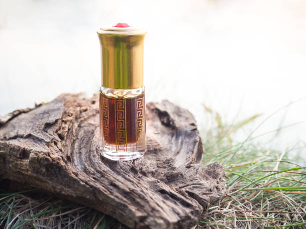 Amber oud