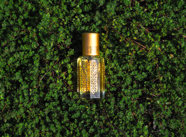 Amber oud