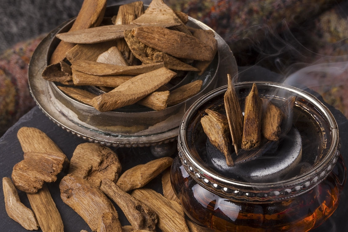 Discovering the Woody Notes of Attar Perfumes