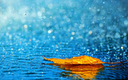 Welcome the Rainy Monsoon with Attar: A Guide to Fragrance-Infused Elegance