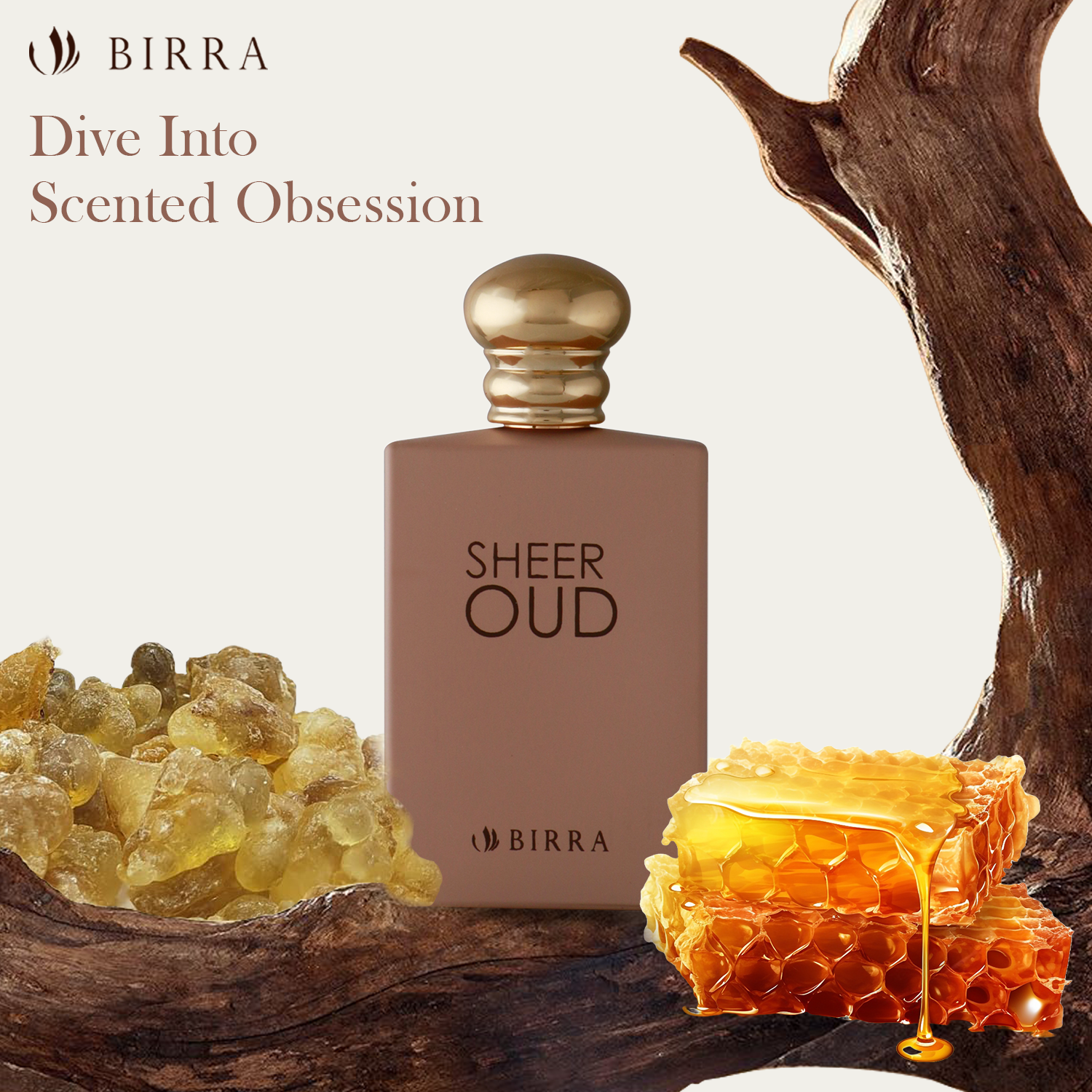 Sheer obsession perfume on sale