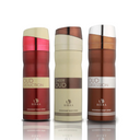 Oud Trio Combo